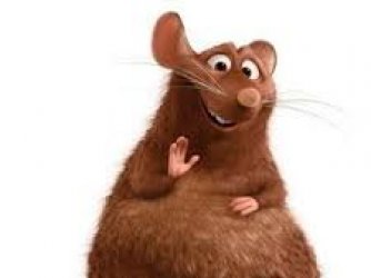 rato